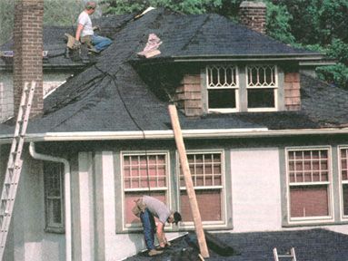 An Environmental Checklist for New Home Buyers Image